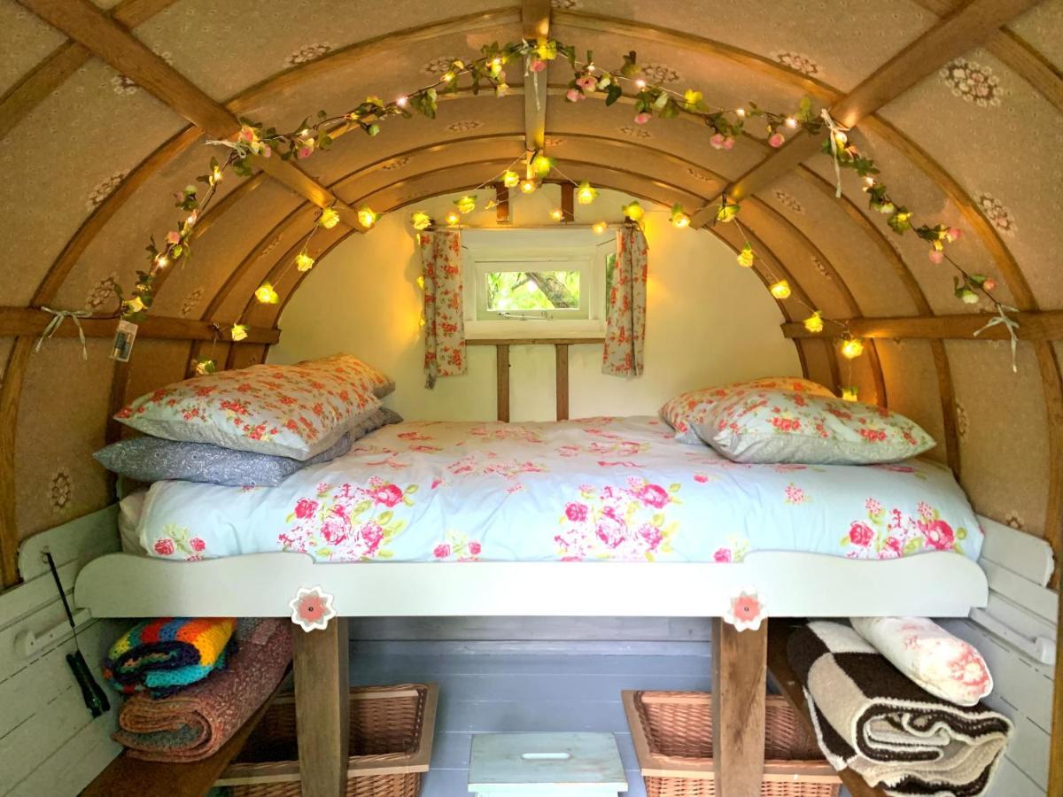 Hotel Genuine Gypsy Hut And Glamping Experience - In The Heart Of Cornwall Gunnislake Exteriér fotografie