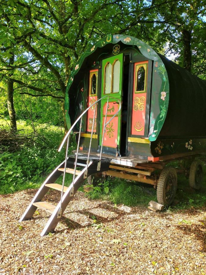 Hotel Genuine Gypsy Hut And Glamping Experience - In The Heart Of Cornwall Gunnislake Exteriér fotografie
